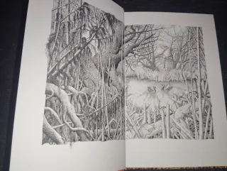 A história do pequeno ganso que era vagaroso Novo