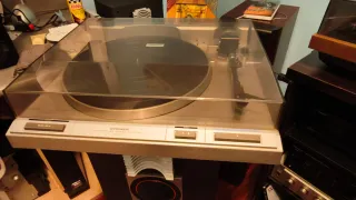 Plato giradischi PL340 stereo con ritorno automatico