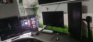 Monitor OLED