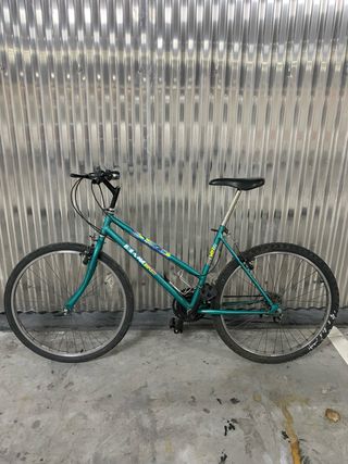 Bicicleta MTB Riam Bikes