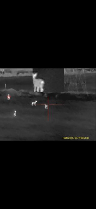 Visor termico pard ft32 clip-on