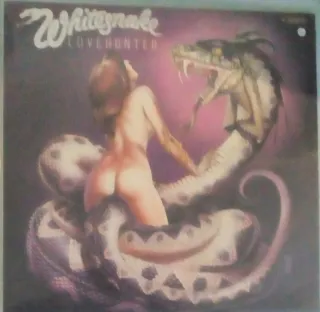 Discos LP,70-80-90 Rock,heavy,funk,blues,pop etc.