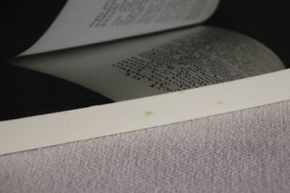 Algumas Distracções de Francisco José Viegas