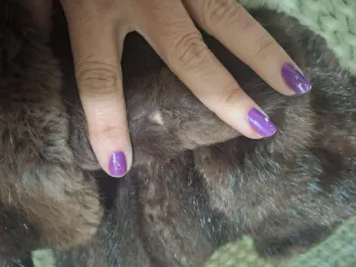 Abrigo vintage tara en el honbro