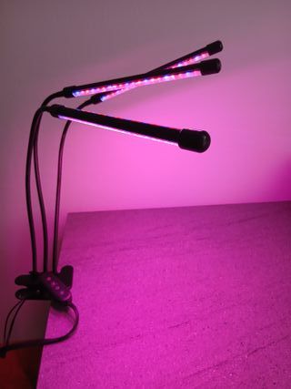 Lampada LED
