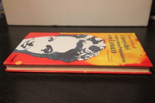 Como Dei Com o Meu Psiquiatra em Louco de Isabel S