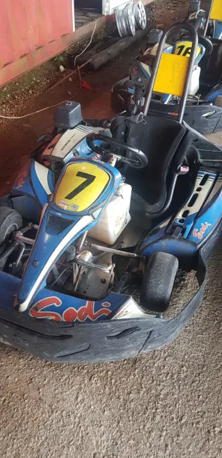 Sodikart gt5 gx 390 13cv
