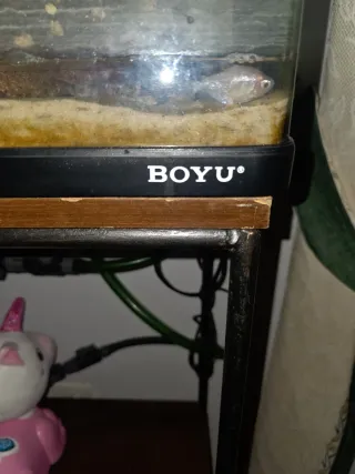 Pecera boyu 90l