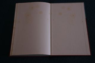 Uma Guerra Que Fosse Sua - Jasmina Tesanovic