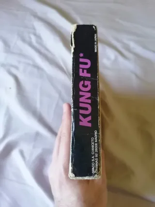 Kung Fu Nintendo Nes