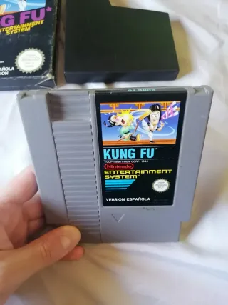 Kung Fu Nintendo Nes