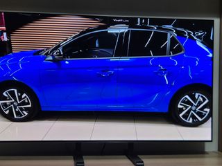 LG OLED 55 EVO EN GARANTIA