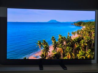 LG OLED 55 EVO EN GARANTIA
