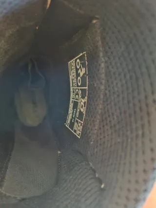 Botas alpinestars tech 10