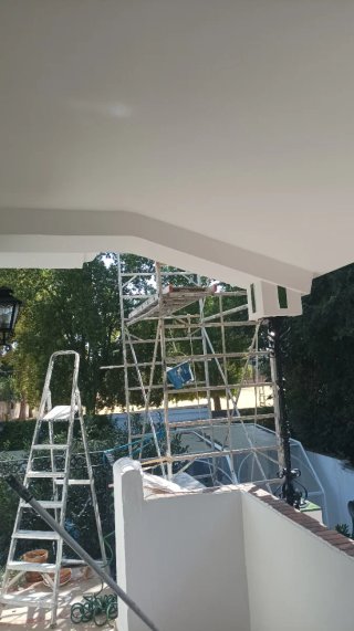 Pintor económico