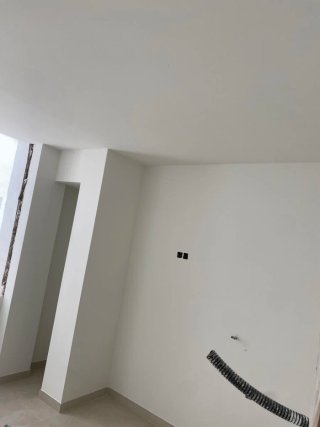 Pintor económico