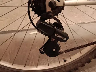 Bicicleta Rochrider 21 marchas. Montaña  Rueda 29"