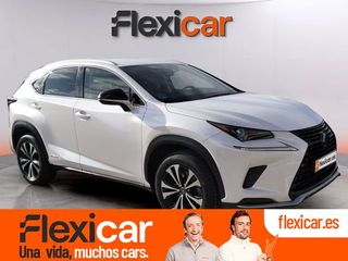 Lexus NX 2.5 300h Business 2WD