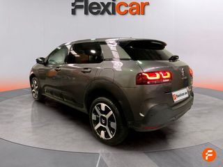 Citroën C4 Cactus PureTech 81KW (110CV) S&S EAT6 Shine