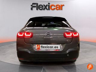 Citroën C4 Cactus PureTech 81KW (110CV) S&S EAT6 Shine