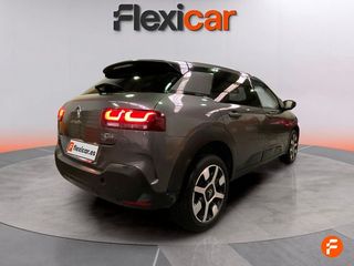 Citroën C4 Cactus PureTech 81KW (110CV) S&S EAT6 Shine