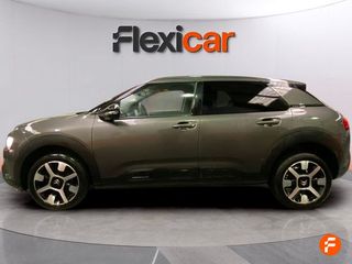 Citroën C4 Cactus PureTech 81KW (110CV) S&S EAT6 Shine