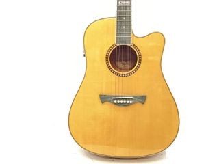 guitarra acustica tagima america