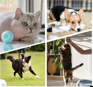 Giocattolo Interattivo con Palla per Gatti. NUOVO!!