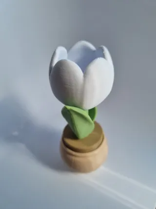 Pack 2x vasos,  lindas tulipas c/ cliker a escolha