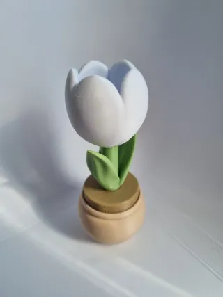 Pack 2x vasos,  lindas tulipas c/ cliker a escolha