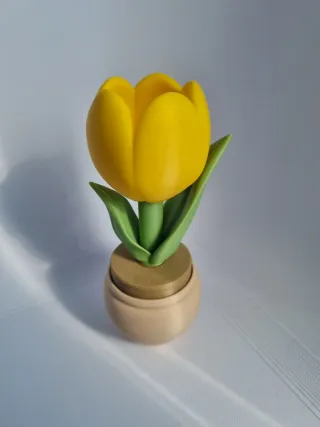 Pack 2x vasos,  lindas tulipas c/ cliker a escolha