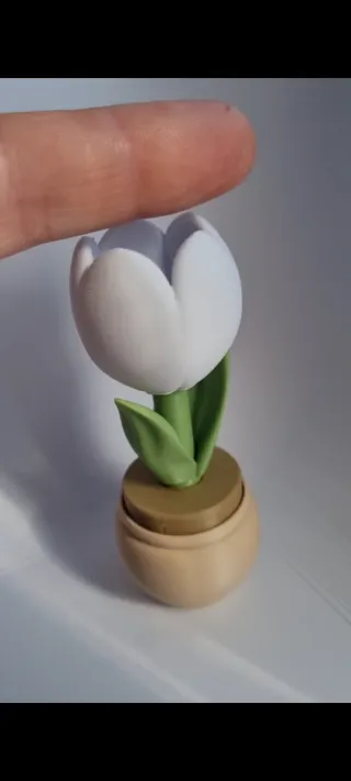 Pack 2x vasos,  lindas tulipas c/ cliker a escolha