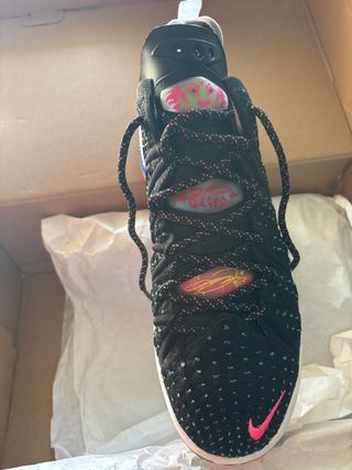 Nike Lebron 18 James Gang