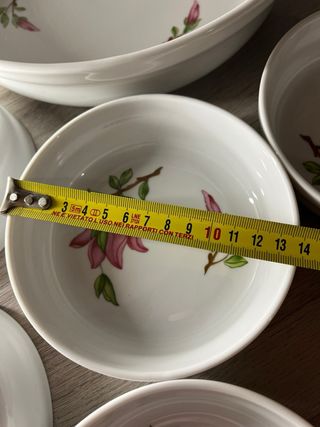 Richard Ginori servizio porcellana fiori rosa