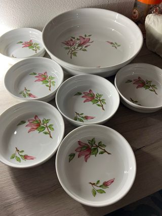 Richard Ginori servizio porcellana fiori rosa