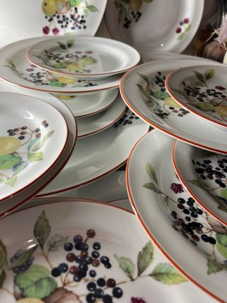 Servizio Porcellana Richard Ginori Frutta