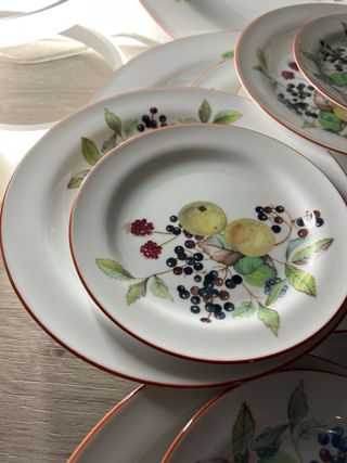Servizio Porcellana Richard Ginori Frutta