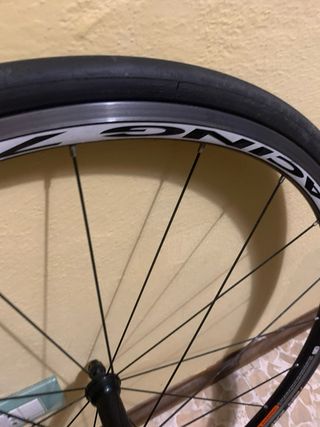 Coppia Ruote Fulcrum Racing 7 Campagnolo