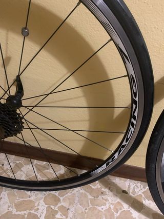 Coppia Ruote Fulcrum Racing 7 Campagnolo