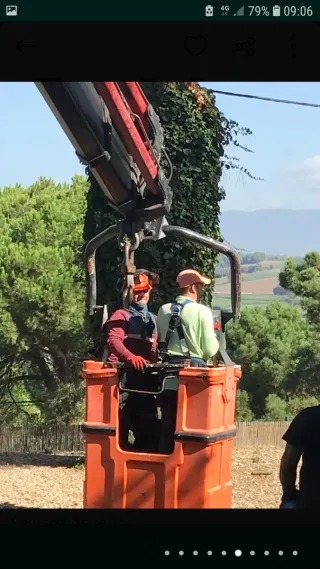 Servicios de jardinería y poda al 610823091