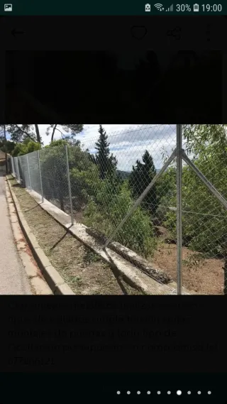 Servicios de jardinería y poda al 610823091