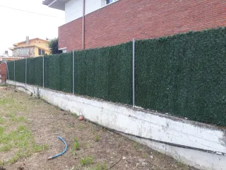 Servicios de jardinería y poda al 610823091