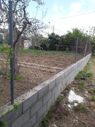 Servicios de jardinería y poda al 610823091