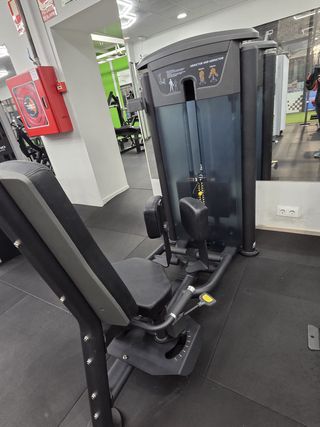 LOTE DE MAQUINAS DE GIMNASIO PROFESIONALES