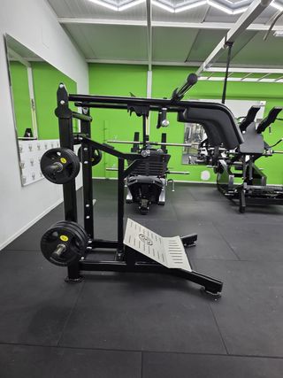 LOTE DE MAQUINAS DE GIMNASIO PROFESIONALES