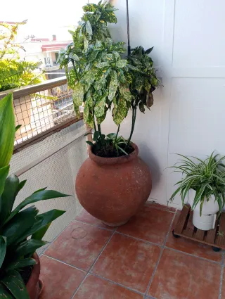 Tinaja de barro grande