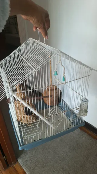 2 Jaulas para Pájaros