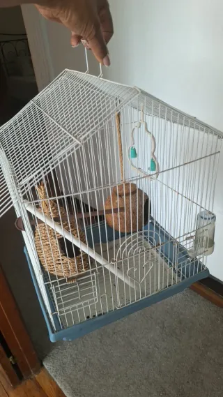 2 Jaulas para Pájaros