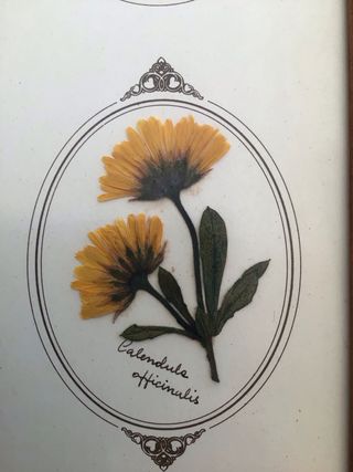 Cuadro Flores Secas Madera