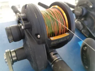 Carrete de pesca Penn Squall II